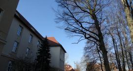 zdjęcie nr 7