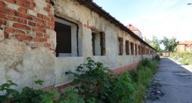 zdjęcie nr 10