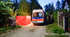 Fotka nr 1 z 3