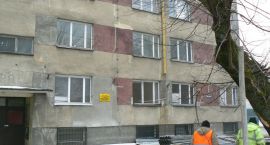 Fotka nr 4 z 7