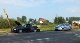 zdjęcie nr 14
