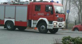 Fotka nr 4 z 25