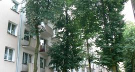 zdjęcie nr 15