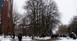 zdjęcie nr 37