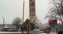 zdjęcie nr 9