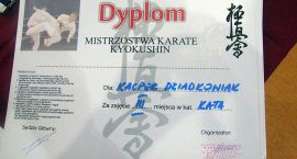 zdjęcie nr 12