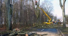 Fotka nr 2 z 13