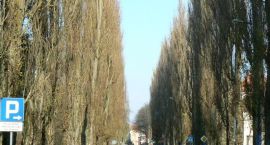 zdjęcie nr 7