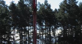 zdjęcie nr 24