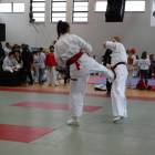 Fotka nr 4 z 51