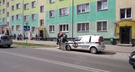 Fotka nr 2 z 9