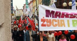 zdjęcie nr 16
