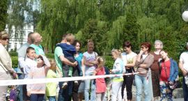zdjęcie nr 42