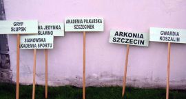 zdjęcie nr 10