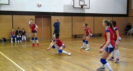 Fotka nr 5 z 13