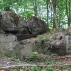 zdjęcie nr 7