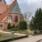 zdjęcie nr 7