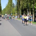 zdjęcie nr 132