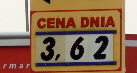 Fotka nr 4 z 7