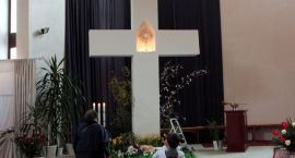 zdjęcie nr 11