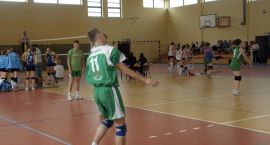 zdjęcie nr 7
