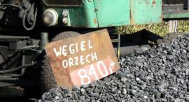 Fotka nr 0 z 7