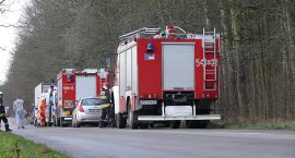 Fotka nr 2 z 4