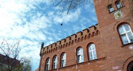 zdjęcie nr 13