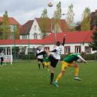 Fotka nr 3 z 16