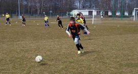 zdjęcie nr 31