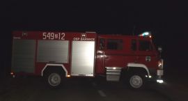 Fotka nr 1 z 3