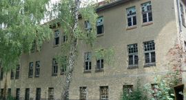 zdjęcie nr 8