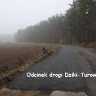 zdjęcie nr 14