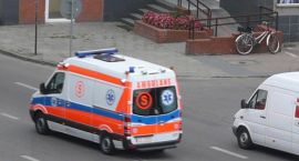 zdjęcie nr 7