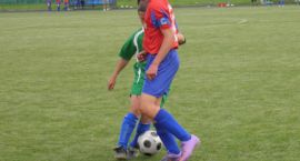 zdjęcie nr 12