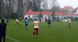 zdjęcie nr 15