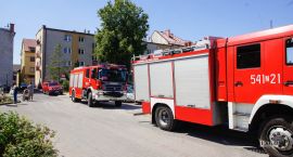 Fotka nr 4 z 5