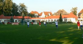 zdjęcie nr 10