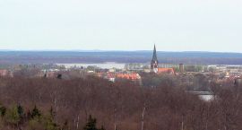 zdjęcie nr 7