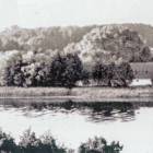 Fotka nr 5 z 8