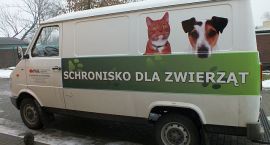 Fotka nr 0 z 6