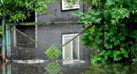 zdjęcie nr 43