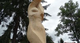 zdjęcie nr 10