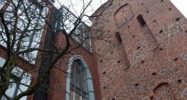 zdjęcie nr 8