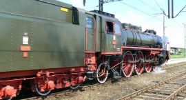 zdjęcie nr 8