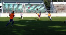 Fotka nr 2 z 12