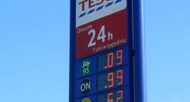 zdjęcie nr 9