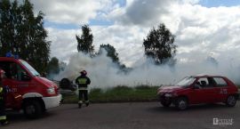 Fotka nr 2 z 10