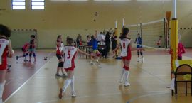 zdjęcie nr 12