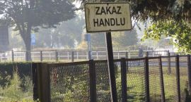 Fotka nr 1 z 3